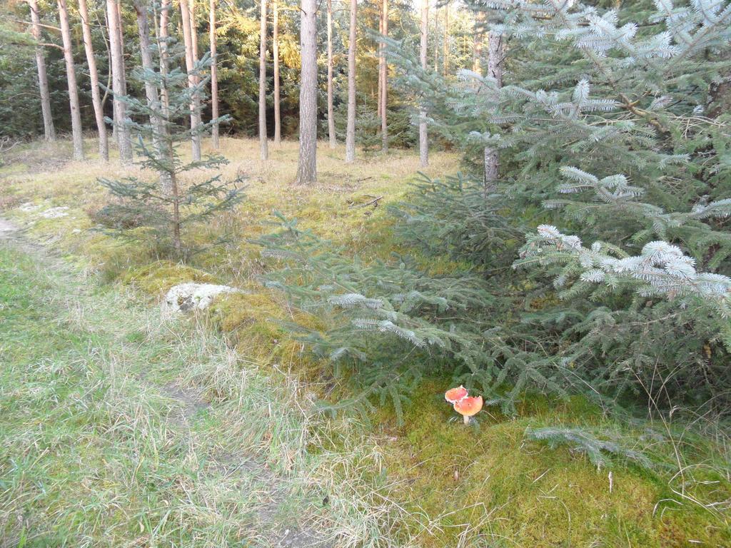 Tvillinggaard Thy Bed & Breakfast Vang  Екстериор снимка